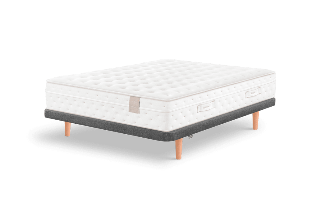 Tapibase, CASUAL V2