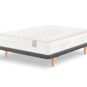 Tapibase, CASUAL V2